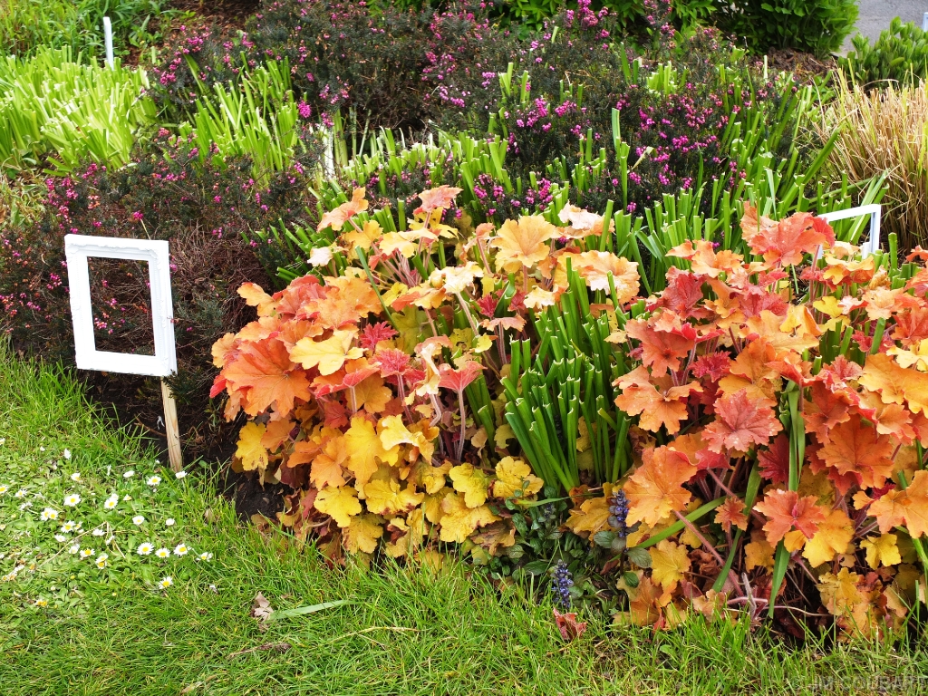 Diapositive suivante